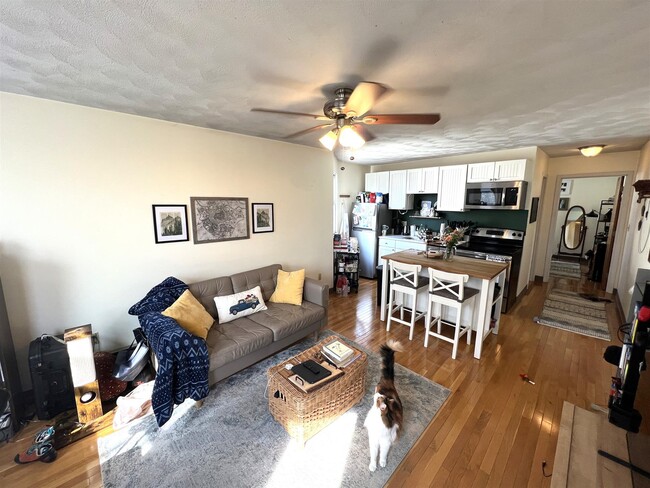 211 Holland St, Unit 2