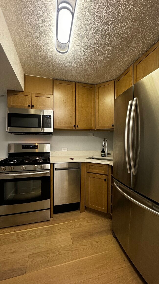 230 E Ontario St, Unit 1703 in Chicago, IL - Building Photo - Building Photo