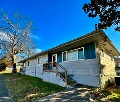 524 S Holly St in Chattanooga, TN - Building Photo