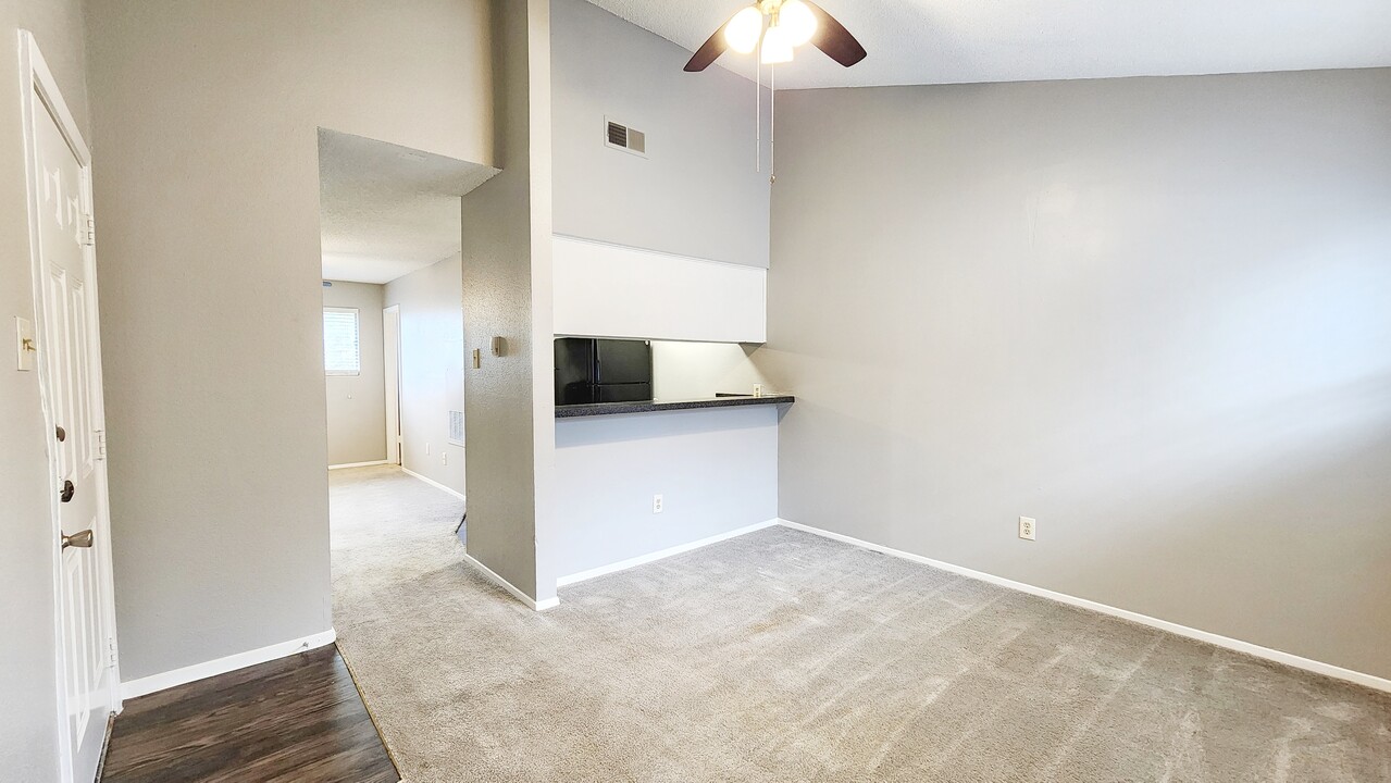 3704 S 2nd St, Unit 206 in Austin, TX - Building Photo