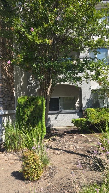 701 Gibson Dr in Roseville, CA - Building Photo - Building Photo