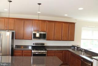 107 Poinsettia Wy in Stephenson, VA - Building Photo - Building Photo