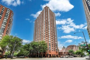 899 S Plymouth Ct in Chicago, IL - Building Photo