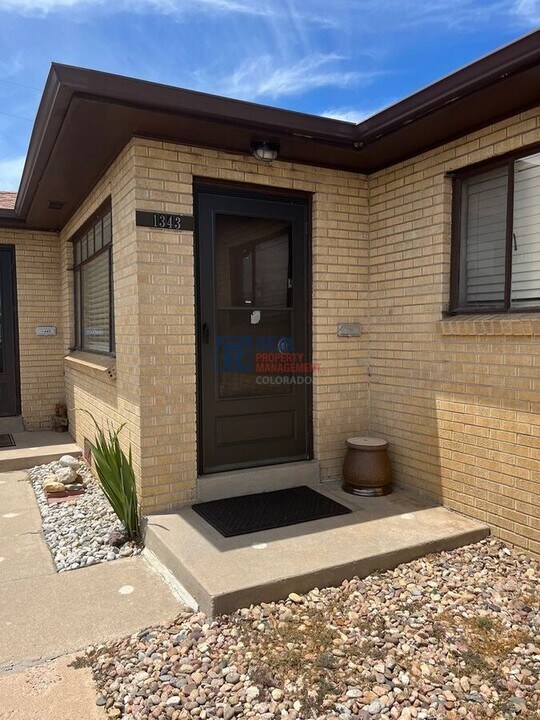 1343 S Grant St in Denver, CO - Building Photo