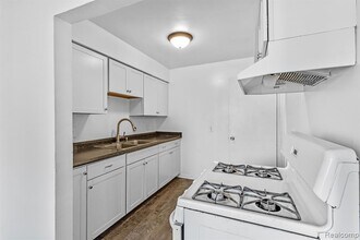 534 St Maron Pl in Detroit, MI - Building Photo - Building Photo