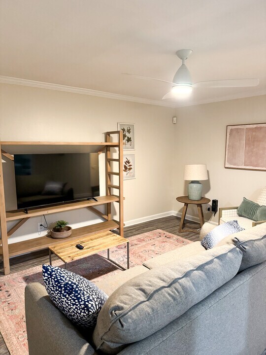 206 Park Lane in Oxford, MS - Building Photo