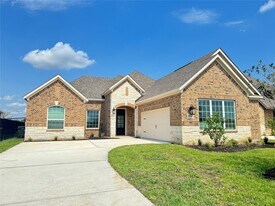 2119 Tioga Vw Dr in Rosharon, TX - Building Photo