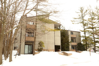 Treehouse West Apartments in East Lansing, MI - Foto de edificio - Building Photo