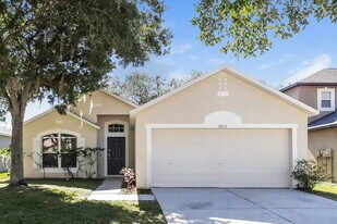 19239 Wood Sage Dr in Tampa, FL - Building Photo