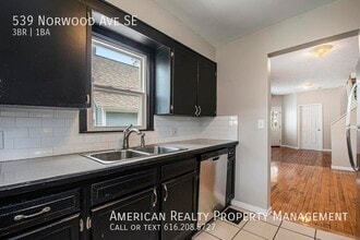 539 Norwood Ave SE in Grand Rapids, MI - Building Photo - Building Photo