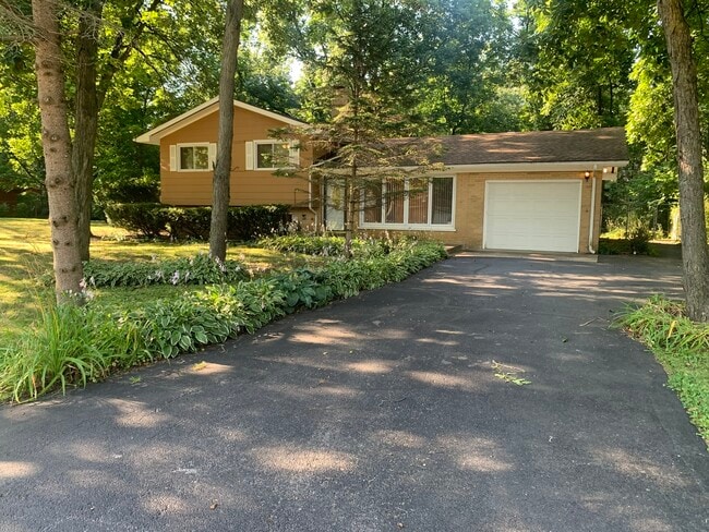 property at 4513 David Ln
