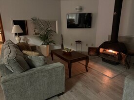 1049 Danby Rd, Unit A2 in Ithaca, NY - Building Photo