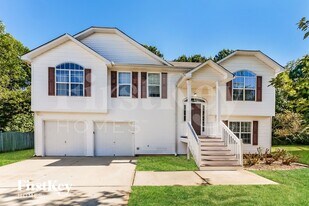 10668 Daisy Cove in Hampton, GA - Building Photo