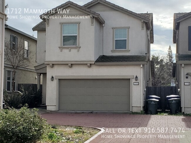 property at 1712 Mammoth Way