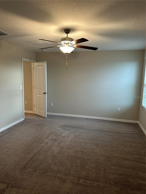 5254 White Chicory Dr in Apollo Beach, FL - Building Photo - Building Photo