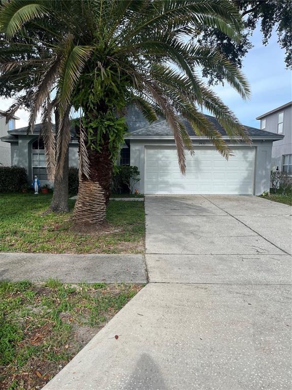 2930 Shannon Cir in Palm Harbor, FL - Building Photo - Building Photo