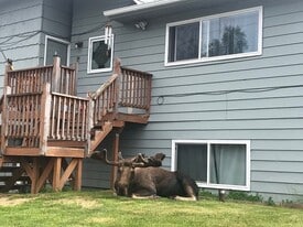 3782 W 84th Ave in Anchorage, AK - Building Photo
