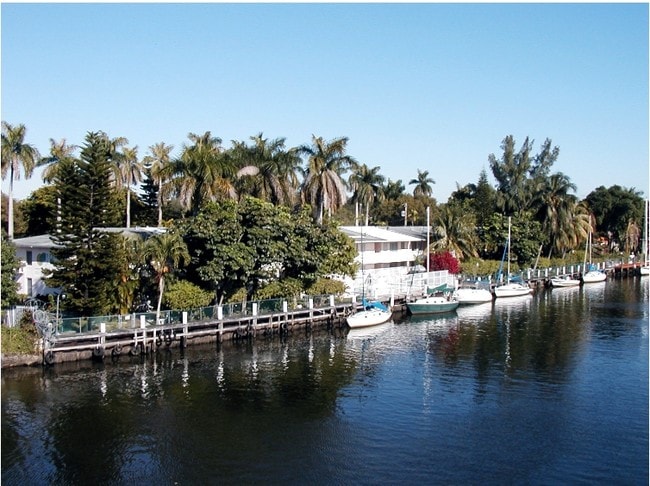 Rio Mio