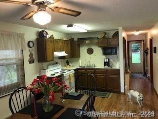 341 Deepwood Dr in Lebanon, CT - Building Photo - Building Photo