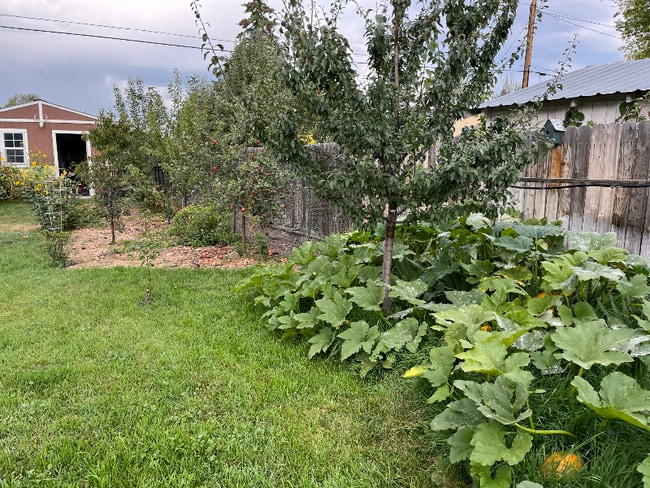 1518 6th Ave W in Kalispell, MT - Foto de edificio - Building Photo