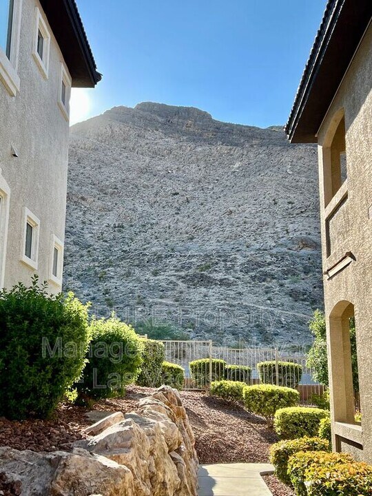 3545 Cactus Shadow St in Las Vegas, NV - Building Photo