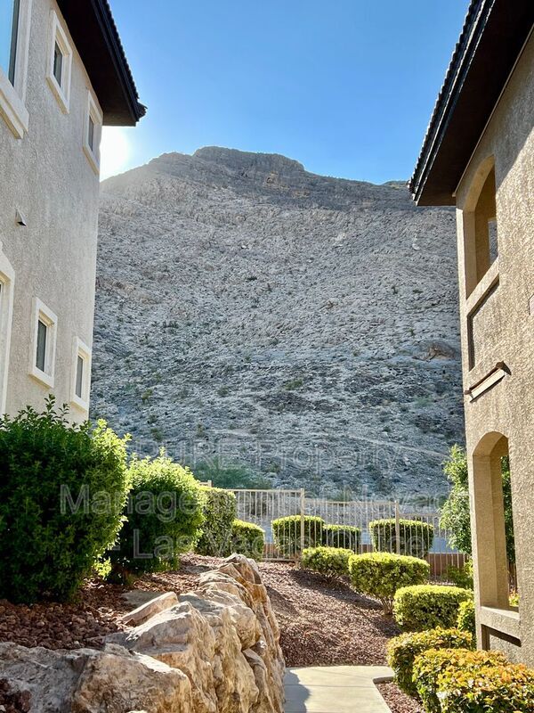 property at 3545 Cactus Shadow St