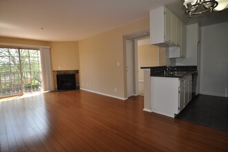 11505 Riverside Dr, Unit 209 in Los Angeles, CA - Building Photo - Building Photo