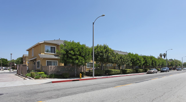 Sunshine Terrace Apartments in Whittier, CA - Building Photo - Building Photo