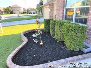 415 Eastern Phoebe in San Antonio, TX - Building Photo - Building Photo