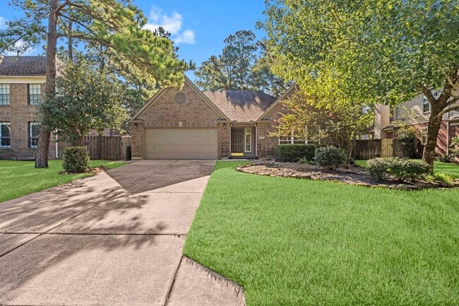 property at 19 E Summer Storm Cir