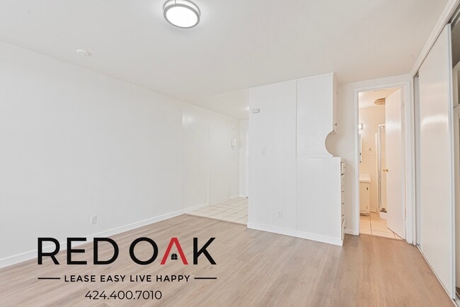 509 S Manhattan Pl in Los Angeles, CA - Building Photo - Building Photo