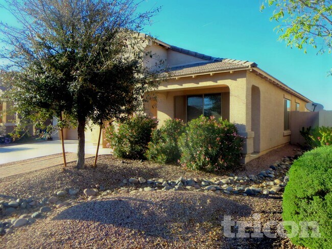 41334 W Hayden Dr in Maricopa, AZ - Building Photo - Building Photo