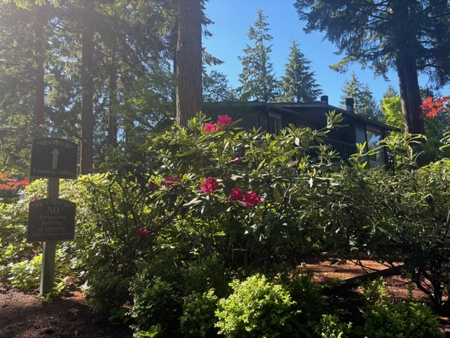 Harborwood West Apartments in Gig Harbor, WA - Building Photo - Building Photo