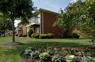 Winding Wood Apartments