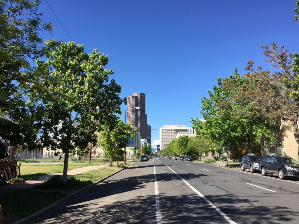 2427 Stout St in Denver, CO - Building Photo