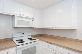 2882 Sanford Ln in Carlsbad, CA - Building Photo - Building Photo