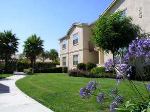 Palm Court Apartments in Salinas, CA - Building Photo - Building Photo