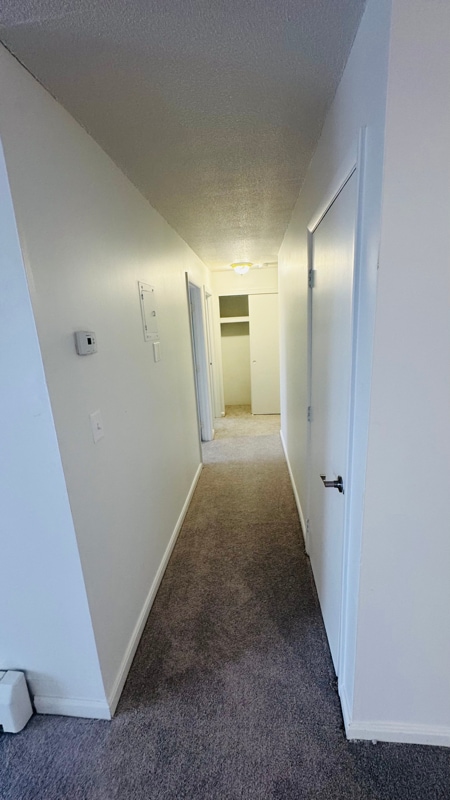 128 Mammoth Rd in Hooksett, NH - Foto de edificio - Building Photo