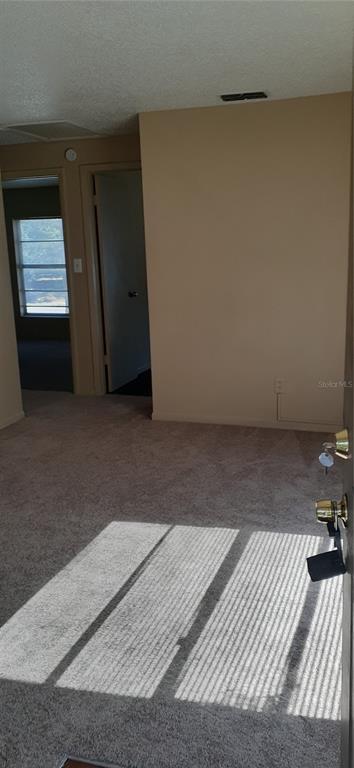 3919 E Fern St in Tampa, FL - Building Photo - Building Photo