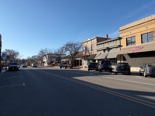 263 Center St in Grayslake, IL - Foto de edificio - Building Photo