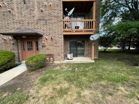 2238 Abbeywood Dr in Lisle, IL - Building Photo