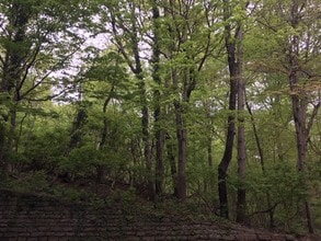 3581 Amberacres Dr, Unit Apt 4 in Cincinnati, OH - Foto de edificio - Building Photo