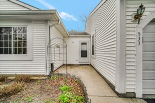 533 Lyon Dr in Buffalo Grove, IL - Building Photo