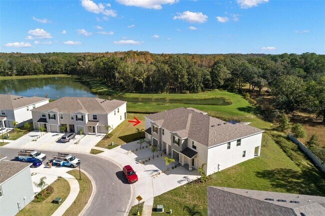 1393 Colt Creek Pl in Wesley Chapel, FL - Building Photo - Building Photo