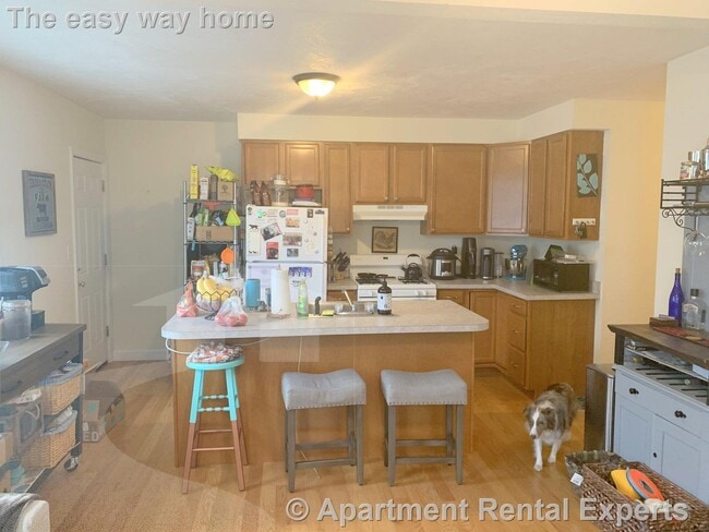 381 Columbia St in Cambridge, MA - Foto de edificio - Building Photo