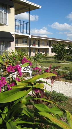 Bay Vista Apartments in Tampa, FL - Building Photo