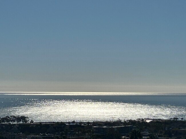 24432 Alta Vista Dr in Dana Point, CA - Building Photo - Building Photo