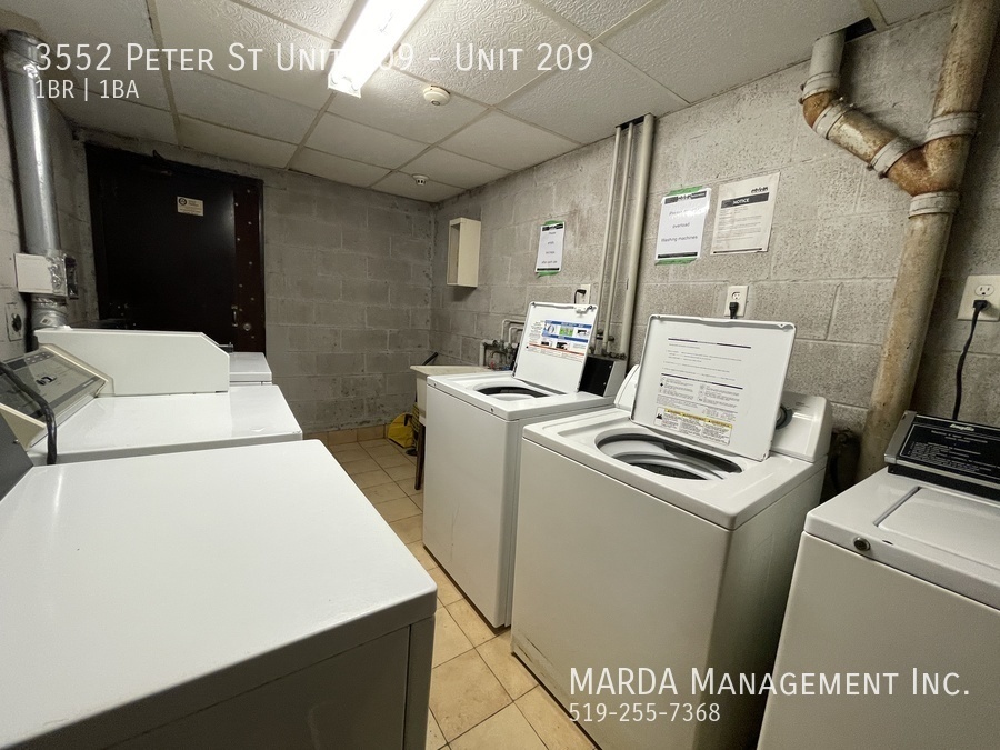 3552 Peter St in Windsor, ON - Building Photo