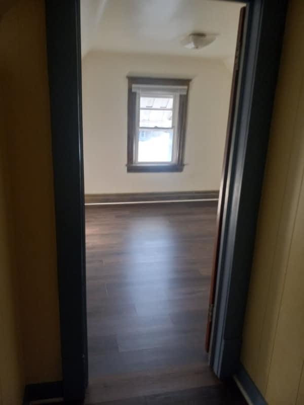 539 W Canedy St in Springfield, IL - Foto de edificio - Building Photo