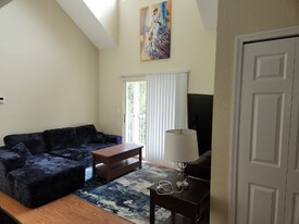 3311 Haviland Ct in Palm Harbor, FL - Building Photo